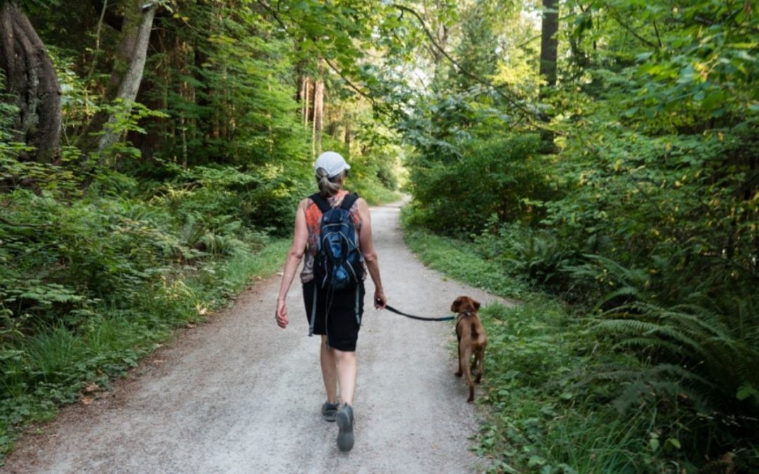 3 Ways to Move Your Body Without Working Out