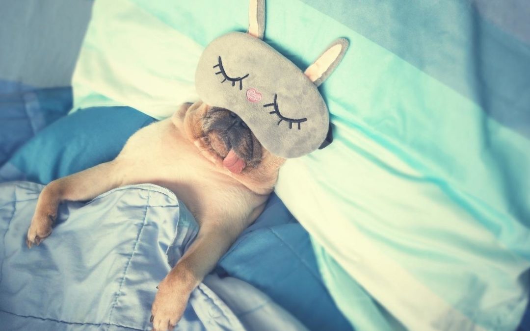 5 Reasons Your Health Needs Enough Sleep and a Quick Tip for Insomnia