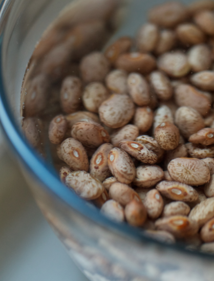 This photo is showing a soaked grains, nuts, seeds, and beans that is a better preparation for your plant-based diet.