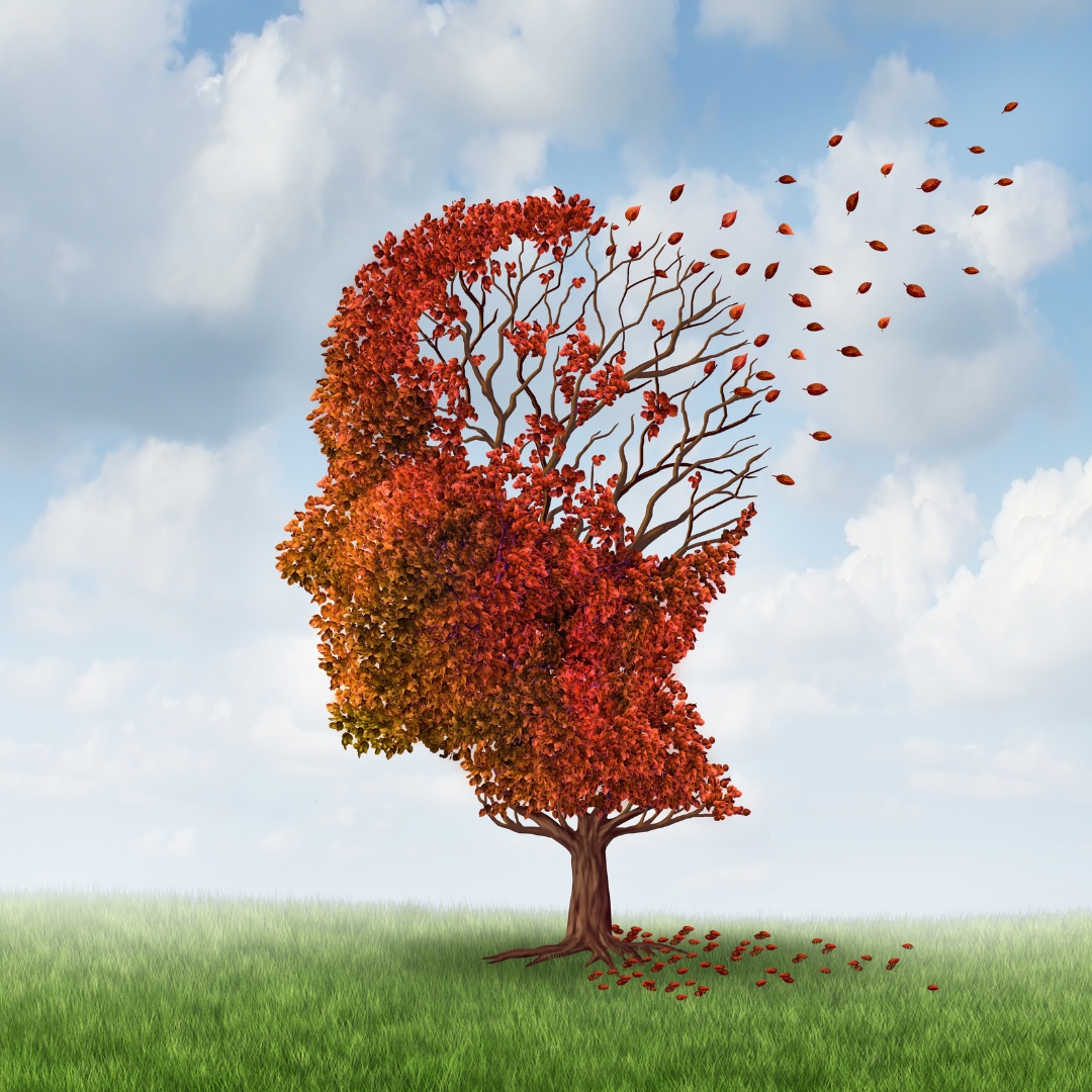 Dementia human head of leaves blowing away | Stop “Inflammaging” in Its Tracks for Healthier Aging | Creative Balance Health